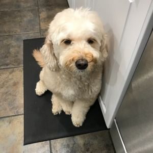 Meet your Posher, Ruth ann